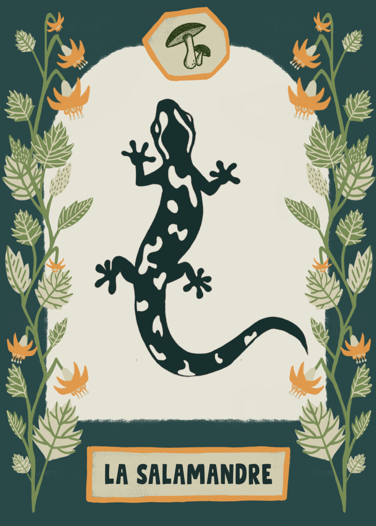 Jeu de Carte 'Esprits de la Nature' - La Salamandre