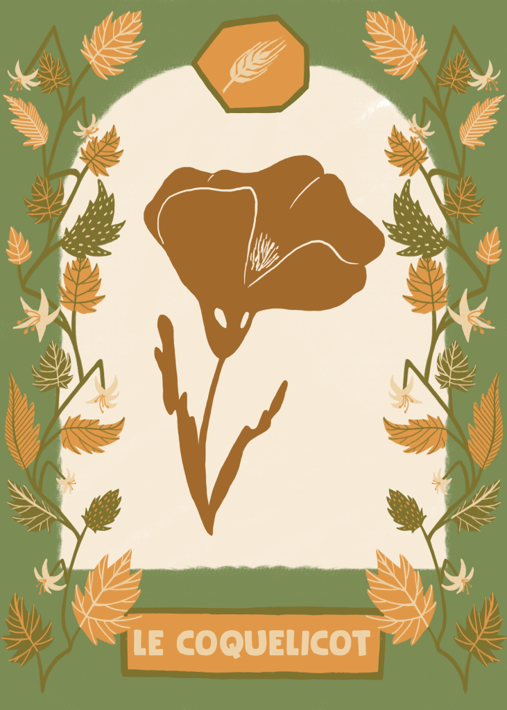 Jeu de Carte 'Esprits de la Nature' - Coquelicot